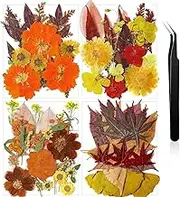 Pressed Flowers Bulk Fall Dried Flower for Resin Mold,Dried Flower Leave Natural with Tweezer for Crafts Candles Soap Cake Making Scrapbooking Autumn Christmas DIY Gift Accessories