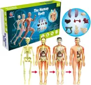 Human Body Model Toys for Kids, Realistic Human Anatomy Display Set (Brain, B...