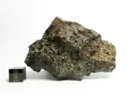 NWA 869 Meteorite 156.32g Thumbprinted Space Rock Meteorite
