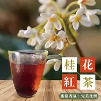在飛比找PChome24h購物優惠-【上野物產】120包 桂花紅茶 茶包 (2.5g/包，20包