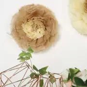 6 pack 12" 16" 20" Natural and Taupe Tissue Paper Carnation Flowers Backdrop