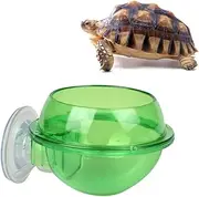 BESPORTBLE 1pc Small Pet Feeding Bowl with Suction Cup Turtle and Lizard Food and Water Feeder Container for Reptiles for Easy Attachment and Use