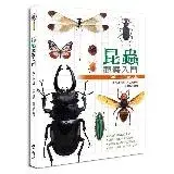 在飛比找遠傳friDay購物優惠-昆蟲觀察入門[79折] TAAZE讀冊生活