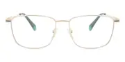 Polaroid PLD 6134/CS With Clip-On Polarized J5G/UC Men's Glasses Gold Size 54 - Private Health Rebate - Blue Light Block Available