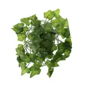 Climbing Vines with Leaves Terrarium Plant Decoration Terrarium