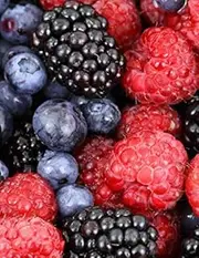 Sketch Book: berries Composition Sketchbook / Notebook for Drawing, Writing, Painting, Sketching or Doodling, 110 Pages, 8.5x11: The perfect notebook to save all your sketches and drawings!