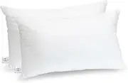 Trendy Home 12x18 Throw Pillow Insert (Pack of 2, White), Bed and Couch Pillows Stuffer Hypoallergenic, Lumbar Support Decorative Home Outdoor Pillow Filler (Non Woven, 2 Pack)