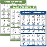 3 Pack - Cable Machine Workout Posters Volume 1 & 2 + Dumbbell Exercise Chart (L