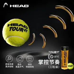 海德HEAD XT TOUR 比賽網球 黃金球3個裝中網協比賽專業用球