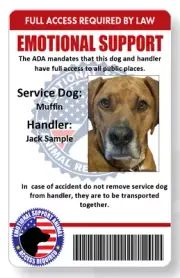 Service/emotional support dog handler ID full color single sided FREE SHIPPING
