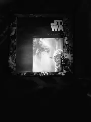 Star Wars /Fine Art Collection /Yoda 1000 Piece Jigsaw Puzzle / Buffalo/27”X20”