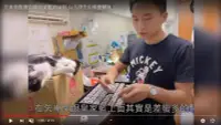 在飛比找Yahoo!奇摩拍賣優惠-【台北周先生有色寶石】矢車菊藍寶石與皇家藍的區別 台北周先生