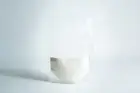 Agar Mix MEA Malt Extract Agar mushroom culture growing on Petri Dish sterile