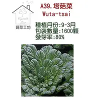 在飛比找momo購物網優惠-【蔬菜工坊】A39.塔菇菜種子(日本進口蹋稞菜 、烏塌菜)