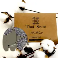 在飛比找momo購物網優惠-【Thai Scent 泰香】瓦特先生香氛掛片