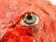 HALLOWEEN HORROR MOVIE PROP - Bloody Skinned Flesh with Eye!!