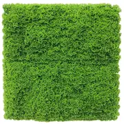 Fresh Natural Green Artificial Moss Vertical Garden / Green Wall UV Resistant 1m x 1m
