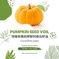 在飛比找蝦皮購物優惠-6037，Pumpkin Seed Virgin Oil, 