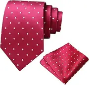 [Luckyvestir] Men's Tie Sets, Black and White Polka Dot Ties for Men with Pocket Square Tie Bar/Cufflinks for Wedding Business