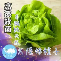 在飛比找蝦皮購物優惠-大陸妹種子高蒸殺菌有機天然種子（ㄧ組300顆以上裝/包)