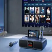 Karaoke Bluetooth Speaker Wireless Microphone All-in-One Machine Subwoofer