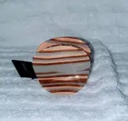 France Luxe /Erickson CLAMSHELL STRIPED JAW French Hair Clip Neutrals
