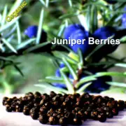 ✅JUNIPER BERRIES ORGANIC Natural Dried Premium Quality Spice 25g-1Kg FROM SERBIA