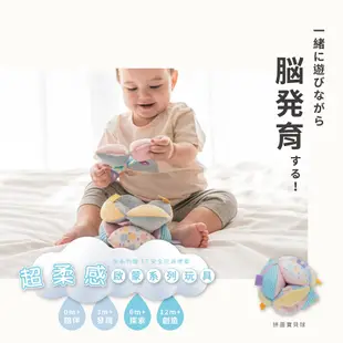 日本 Combi 拼圖寶貝球
