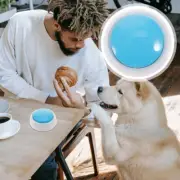 pet button programmable button sound Button Recordable Answer
