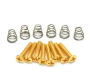 Vintage Gold Countersunk Pickup/Switch Screws/Springs Fender Strat® GS-0064-002
