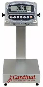 Detecto EB-15-190 Bench Scale, 12" x 10", 15lb Capacity, 190 Indicator