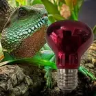InfraRed Solar Basking Spot Reptile Heat Lamp (E27) Vivarium Light Bulb Hot