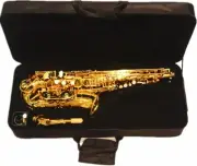 Funion Eb Key Alto Saxophone Kit High F# Brass Body Gold Lacquer E Flat Case New