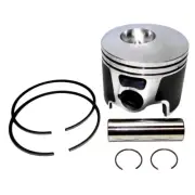 Piston Kit For Johnson Evinrude 200-250 Hp 3.3L E-Tec 04-14 Starboard Standard