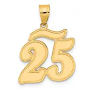 14k Yellow Gold Brushed Border Script Number 25 Pendant