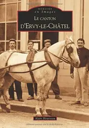 ERVY-LE-CHATEL (LE CANTON D') (FRENCH EDITION) By Alain Hourseau **BRAND NEW**