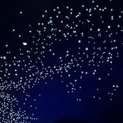 Glow in The Dark Stars Decals Decor,633 Pcs Realistic 3D Stickers,Starry Sky Shining Decoration,Perfect for Ceiling Or Wall and Bedroom Decor