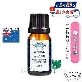 在飛比找遠傳friDay購物精選優惠-【Amywo艾美窩】純羅文沙葉精油 30ml