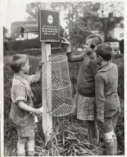 One Of The First Litter Baskets Which Members Of The Worcestershire - Old Photo