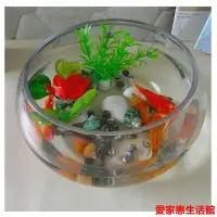 在飛比找Yahoo!奇摩拍賣優惠-【熱賣精選】魚缸 玻璃魚缸 小魚缸魚缸 水族箱 烏龜缸 特大