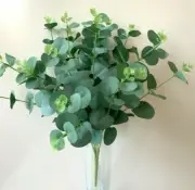 AUSTRALIAN NATIVE FLOWER EUCALYPTUS BUSH BLUE GUM PLANT STEM ARTIFICIAL FLOWERS