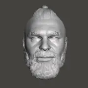 Brock Lesnar v2 WWE Summer Slam Wrestlemania custom head for action figures