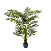 [James Lane] Areca Palm Tree - 110cm x 110cm x 183cm