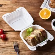 250 pcs Disposable Clamshell Food Take Out Container To Go Box 5.5" x 5.5"