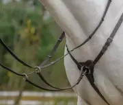 Shires Avignon Three Point Breastplate
