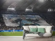 3D Stadium Sports Pattern Wallpaper Wall Murals Removable Wallpaper 54