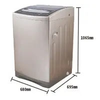 在飛比找蝦皮購物優惠-Bloom Wash 16公斤 DD直驅變頻直立洗衣機 WV