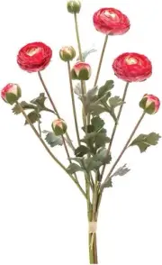 Melrose Set of 2 Red and Green Ranunculus Artificial Bundles 23.25"