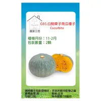 在飛比找PChome24h購物優惠-G93.白駒栗子南瓜種子2顆