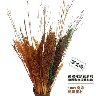 ⭐永生花⭐ 手工花 乾燥花 天然素材 裝飾品 乾燥高粱 紅高粱乾燥花 乾燥花材 麥穗 稻穗 乾燥花材 麥穗 大麥 花圈材